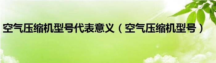 空气压缩机型号代表意义（空气压缩机型号）