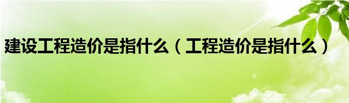 建设工程造价是指什么（工程造价是指什么）