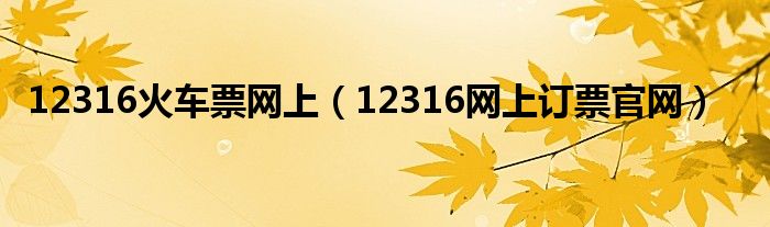 12316火车票网上（12316网上订票官网）