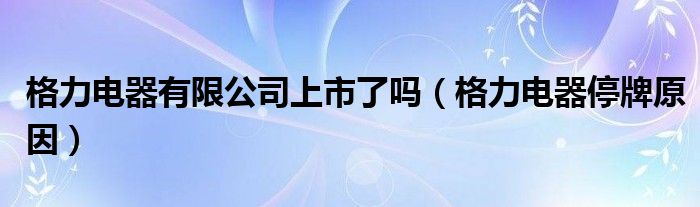 格力电器有限公司上市了吗（格力电器停牌原因）