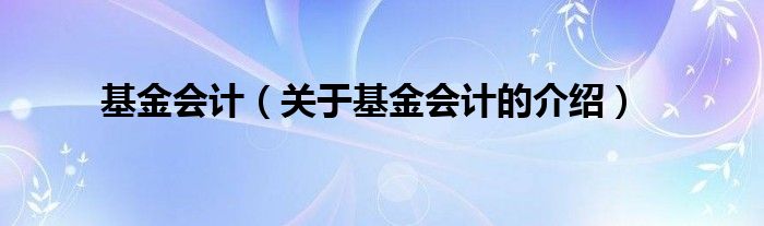 基金会计（关于基金会计的介绍）