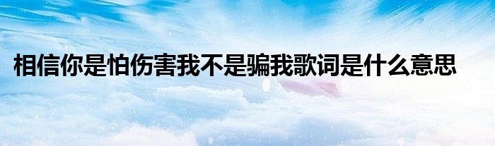 相信你是怕伤害我不是骗我歌词是什么意思