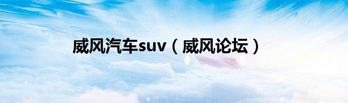 威风汽车suv（威风论坛）