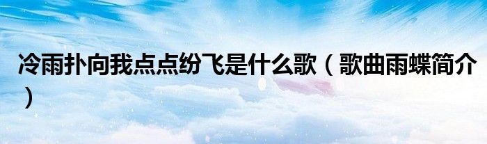 冷雨扑向我点点纷飞是什么歌（歌曲雨蝶简介）