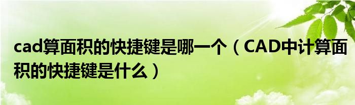 cad算面积的快捷键是哪一个（CAD中计算面积的快捷键是什么）