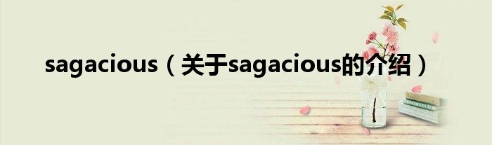 sagacious（关于sagacious的介绍）