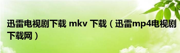 迅雷电视剧下载 mkv 下载（迅雷mp4电视剧下载网）