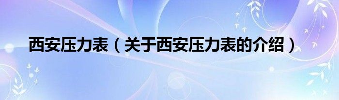 西安压力表（关于西安压力表的介绍）