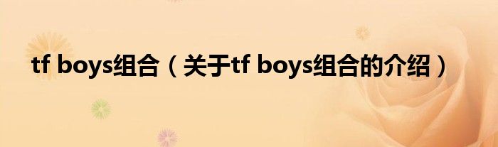 tf boys组合（关于tf boys组合的介绍）