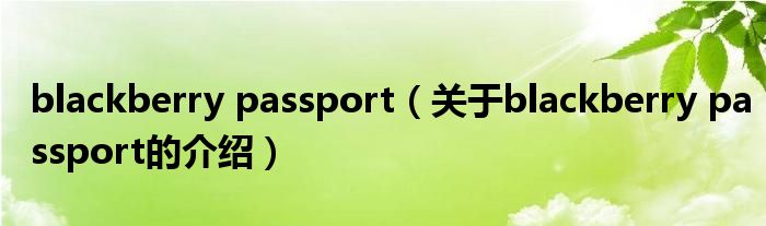 blackberry passport（关于blackberry passport的介绍）