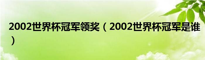 2002世界杯冠军领奖（2002世界杯冠军是谁）