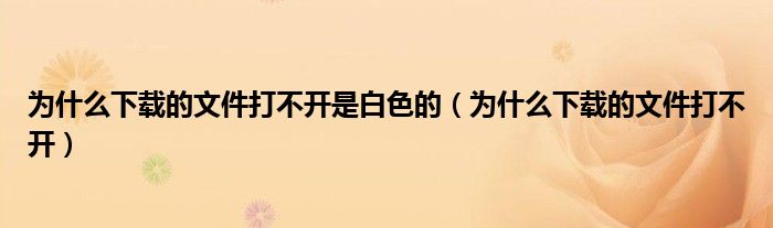 为什么下载的文件打不开是白色的（为什么下载的文件打不开）