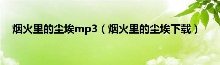 烟火里的尘埃mp3（烟火里的尘埃下载）