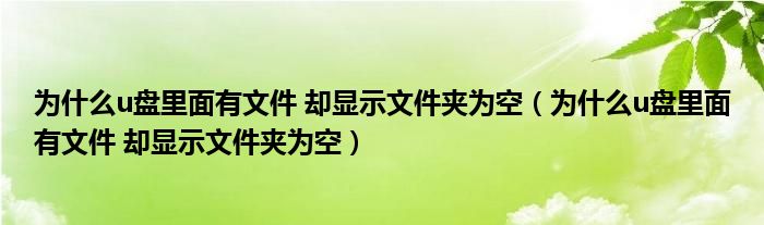 为什么u盘里面有文件 却显示文件夹为空（为什么u盘里面有文件 却显示文件夹为空）