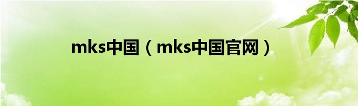 mks中国（mks中国官网）