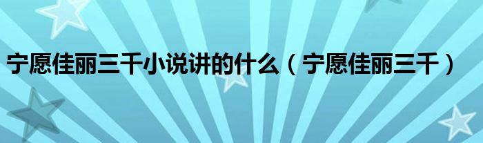 宁愿佳丽三千小说讲的什么（宁愿佳丽三千）