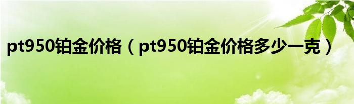 pt950铂金价格（pt950铂金价格多少一克）