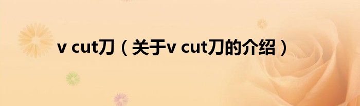 v cut刀（关于v cut刀的介绍）