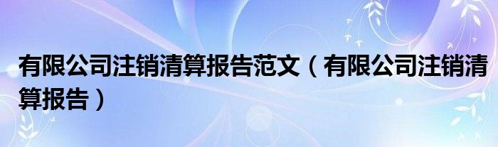 有限公司注销清算报告范文（有限公司注销清算报告）