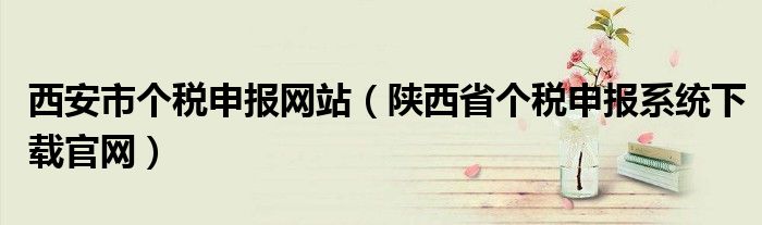 西安市个税申报网站（陕西省个税申报系统下载官网）