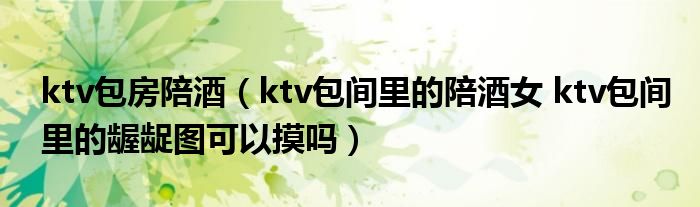 ktv包房陪酒（ktv包间里的陪酒女 ktv包间里的龌龊图可以摸吗）