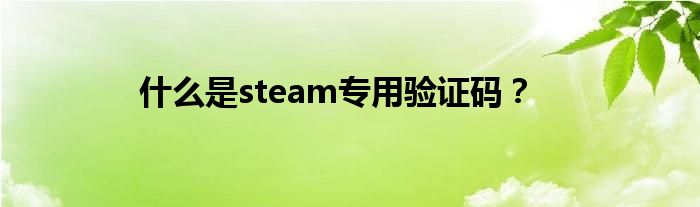 什么是steam专用验证码？