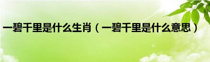 一碧千里是什么生肖（一碧千里是什么意思）