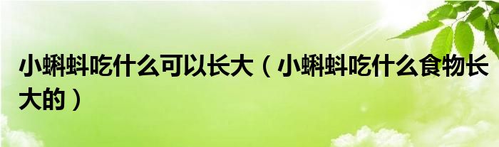 小蝌蚪吃什么可以长大（小蝌蚪吃什么食物长大的）