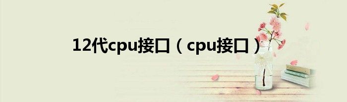 12代cpu接口（cpu接口）