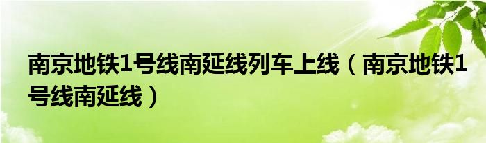 南京地铁1号线南延线列车上线（南京地铁1号线南延线）