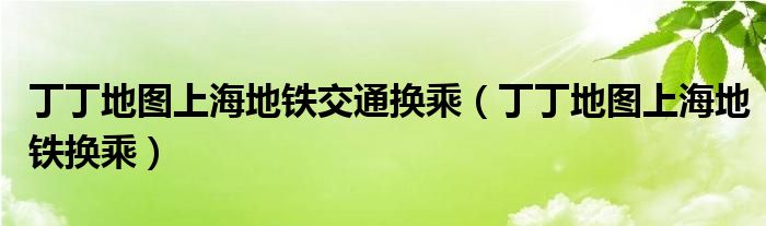 丁丁地图上海地铁交通换乘（丁丁地图上海地铁换乘）