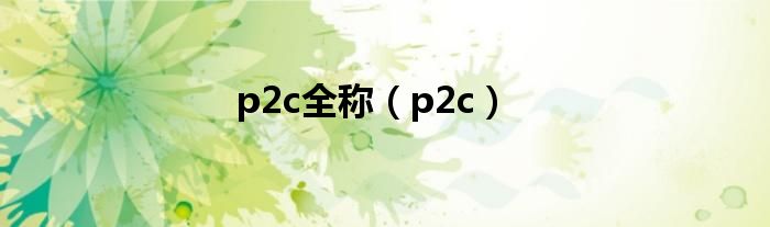 p2c全称（p2c）