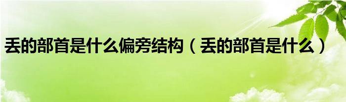 丢的部首是什么偏旁结构（丢的部首是什么）