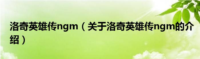 洛奇英雄传ngm（关于洛奇英雄传ngm的介绍）