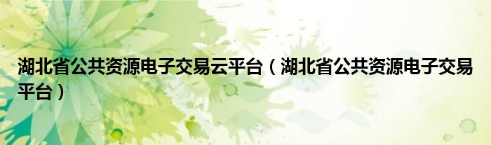 湖北省公共资源电子交易云平台（湖北省公共资源电子交易平台）