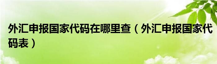 外汇申报国家代码在哪里查（外汇申报国家代码表）