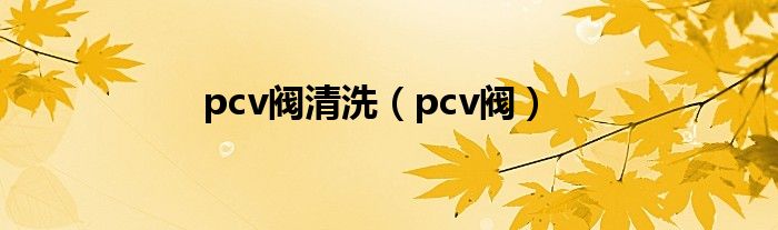 pcv阀清洗（pcv阀）