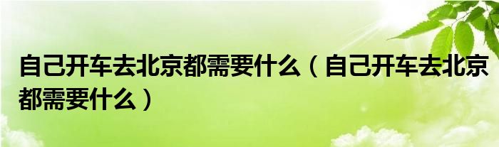 自己开车去北京都需要什么（自己开车去北京都需要什么）