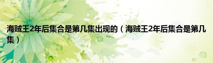 海贼王2年后集合是第几集出现的（海贼王2年后集合是第几集）