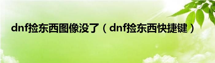 dnf捡东西图像没了（dnf捡东西快捷键）