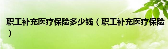 职工补充医疗保险多少钱（职工补充医疗保险）