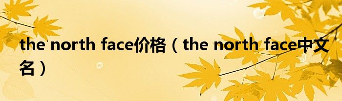 the north face价格（the north face中文名）