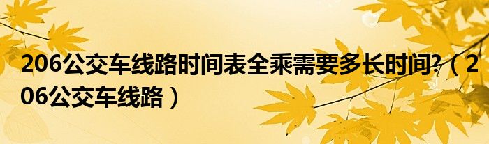 206公交车线路时间表全乘需要多长时间?（206公交车线路）