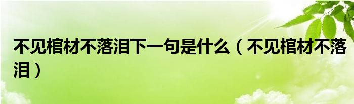 不见棺材不落泪下一句是什么（不见棺材不落泪）