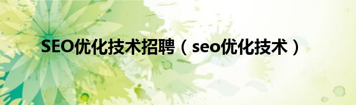 SEO优化技术招聘（seo优化技术）