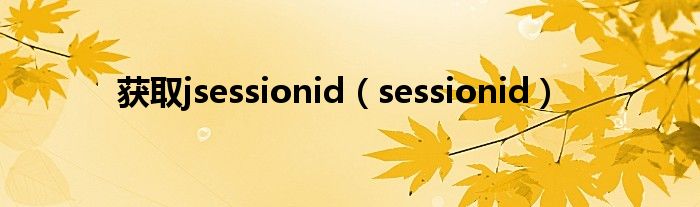 获取jsessionid（sessionid）