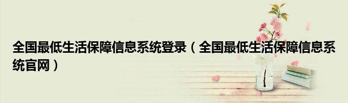 全国最低生活保障信息系统登录（全国最低生活保障信息系统官网）