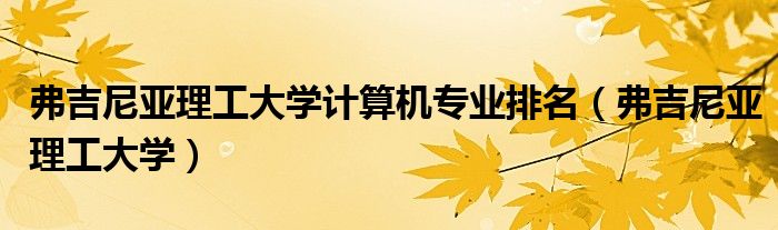 弗吉尼亚理工大学计算机专业排名（弗吉尼亚理工大学）