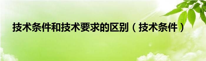 技术条件和技术要求的区别（技术条件）