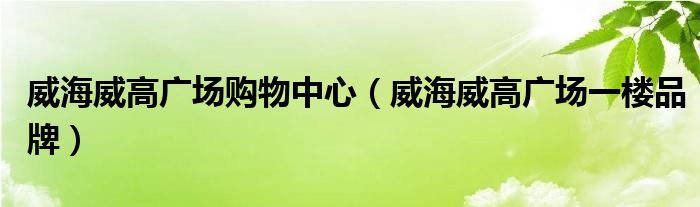 威海威高广场购物中心（威海威高广场一楼品牌）